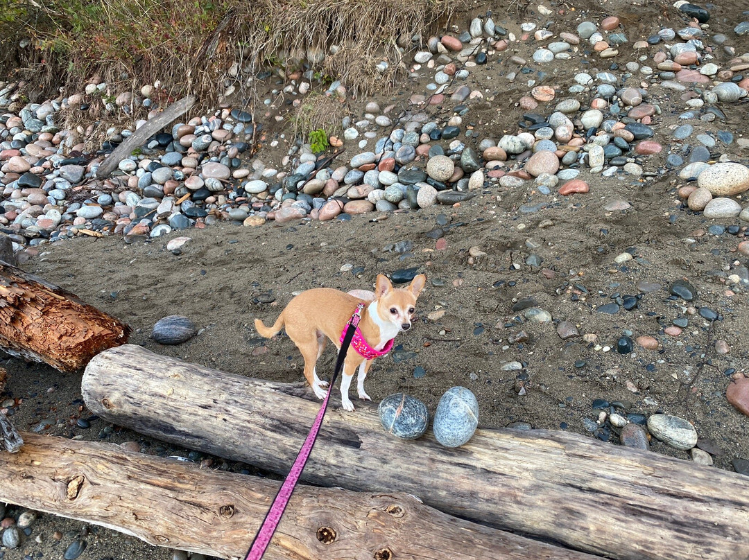 Pebble Beach-Marathon必去景点