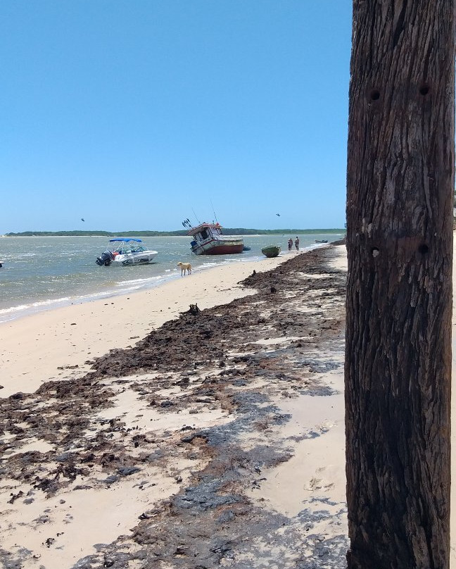 Canto do Atins-巴雷里尼亚斯必去景点