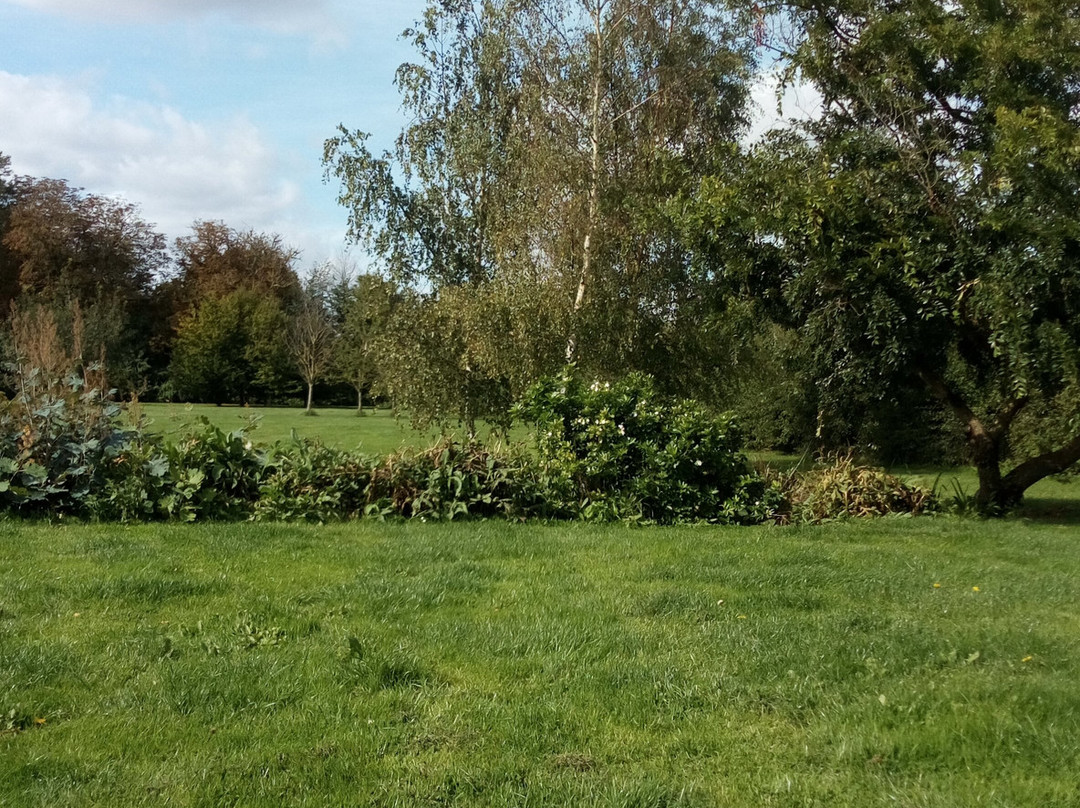 Elms Farm Cottages主图