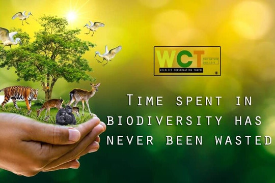 Wildlife Conservation Travel (WCT)-Ruhengeri必去景点