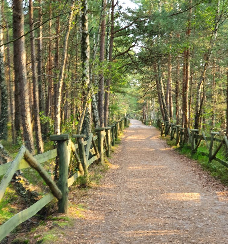 Plaża Białogóra景点图片