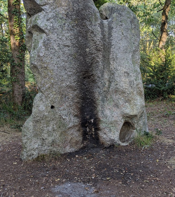 Menhir Dit De Pierre-levée景点图片
