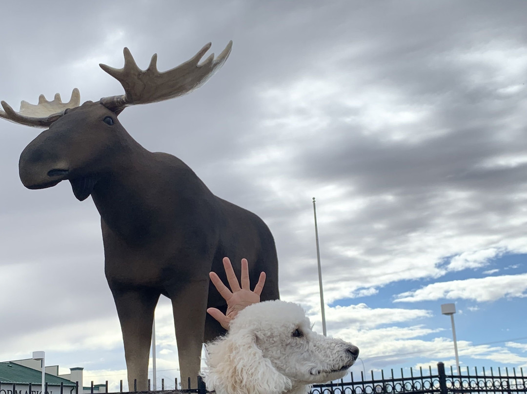 Mac the Moose Monument-穆斯乔必去景点