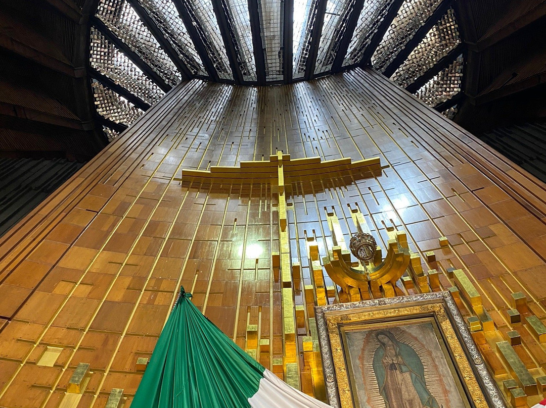 Mexico Tour Freelance-墨西哥城必去景点