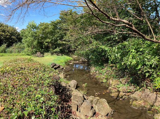 Uchimaki Park-春日部市必去景点