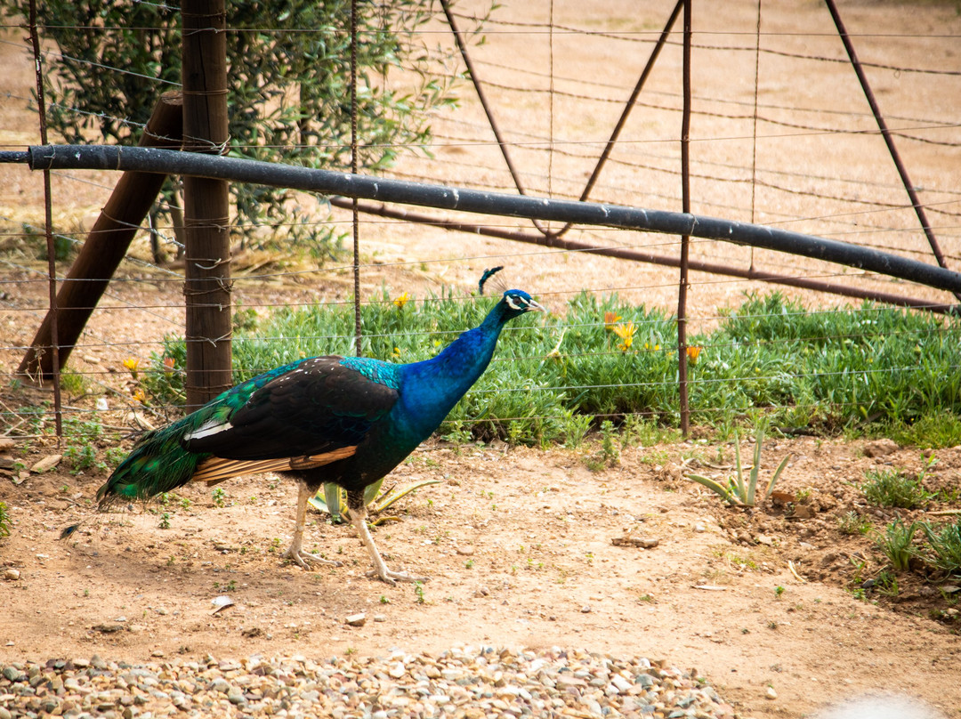 Vleidam Guest Farm主图