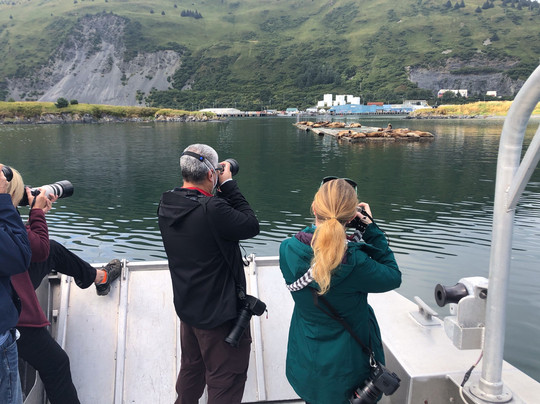 Kodiak Scenic Tours-Kodiak必去景点