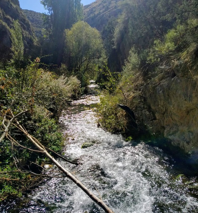 Ruta del Zarzalar-Nerpio必去景点