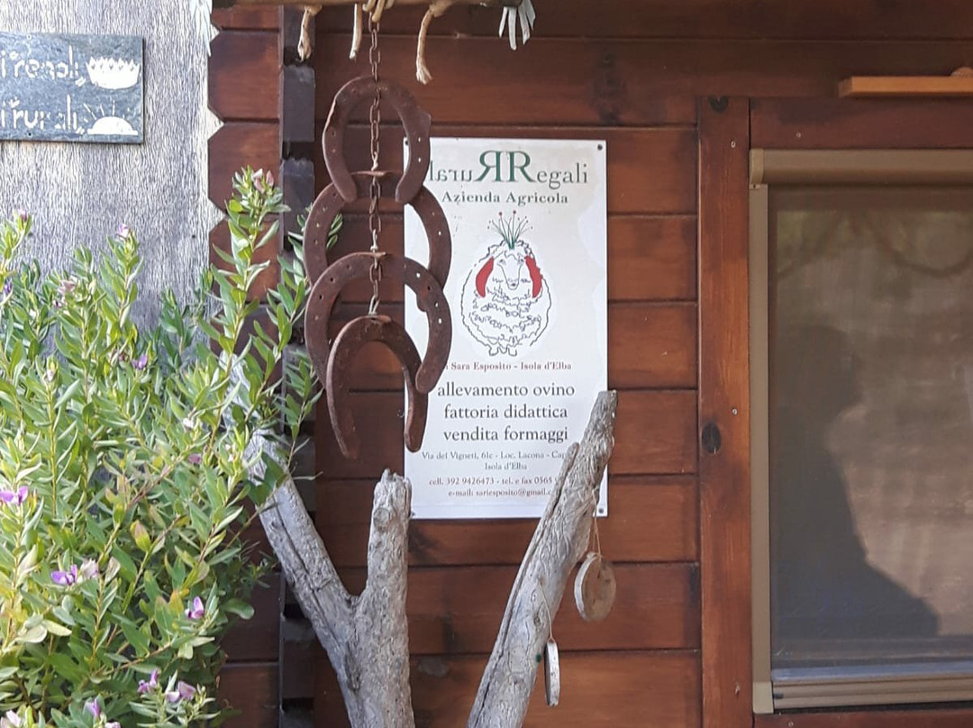 Azienda Agricola Casearia Regali Rurali景点图片