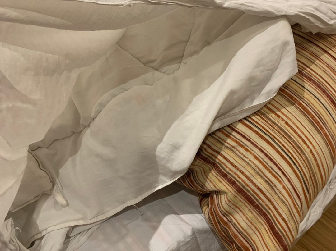 Hotel Chandigarh Beckons主图