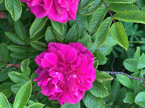 Borgarnes Watertower Viewpoint-博尔加内斯必去景点