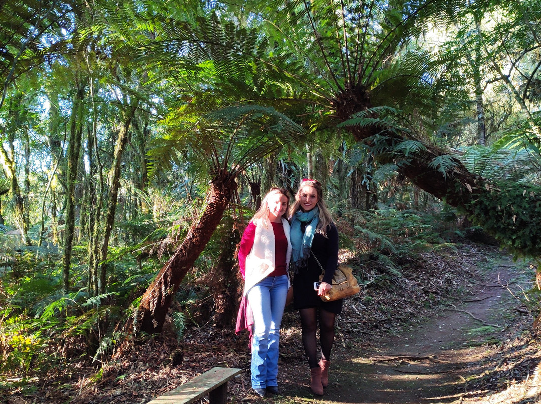 Hotel Parador Hampel主图