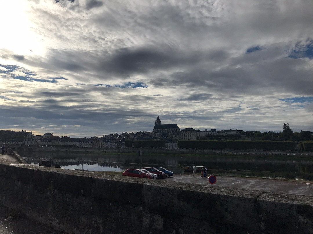 Logis Hôtel Côté Loire Auberge Ligérienne主图