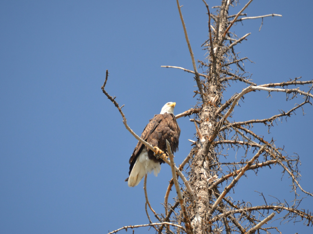 National Park Float Trips-穆斯必去景点