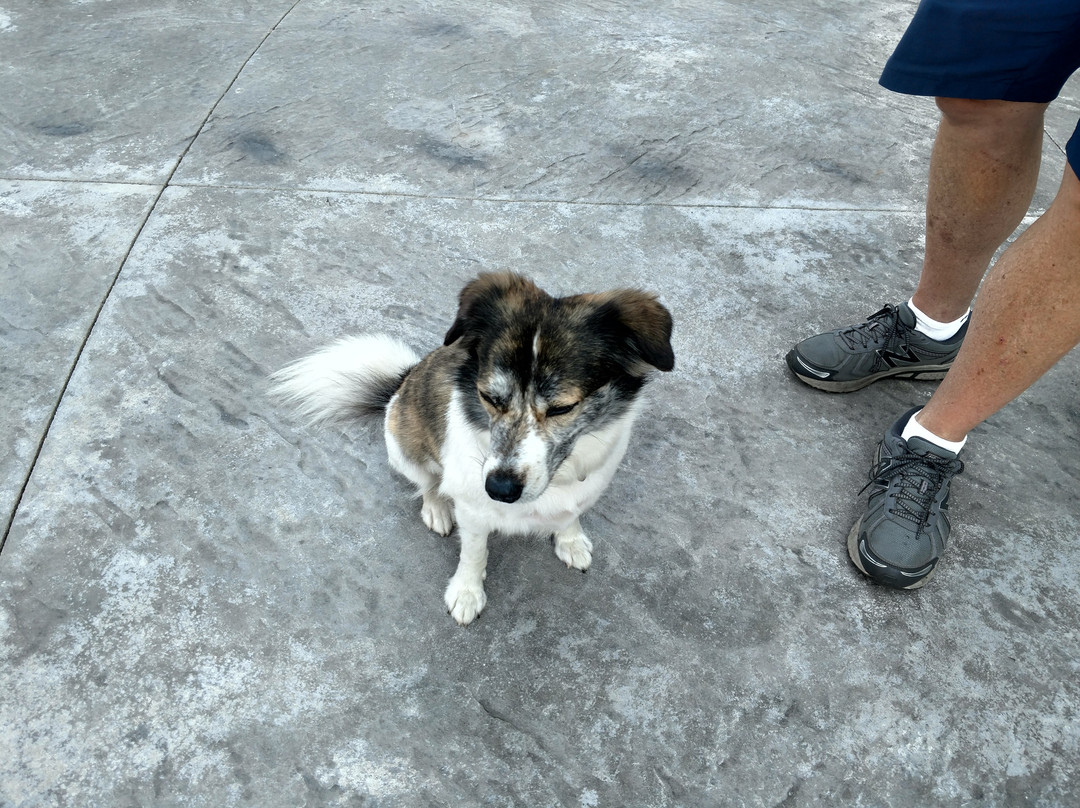 Gabriel Farms-皮托斯基必去景点