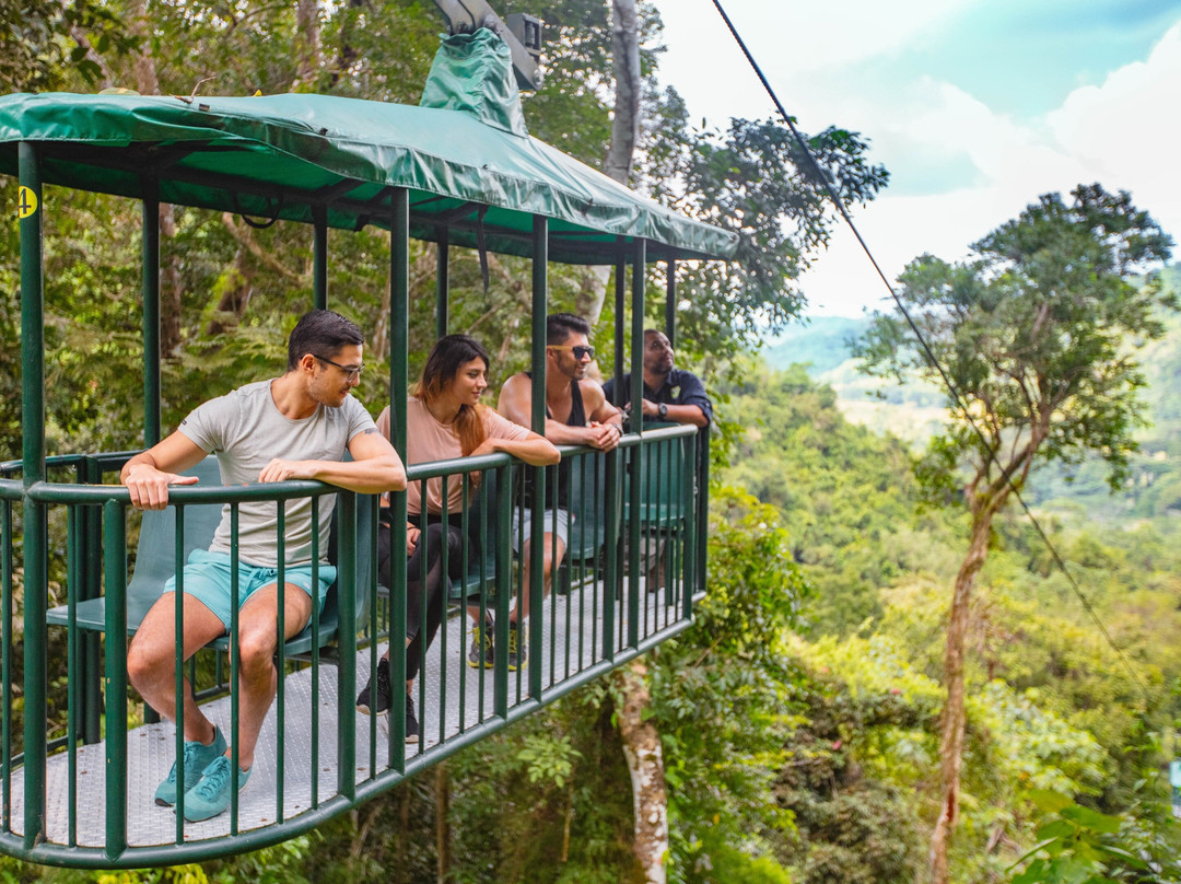 Rainforest Adventures Braulio Carrillo-爱雷迪雅必去景点