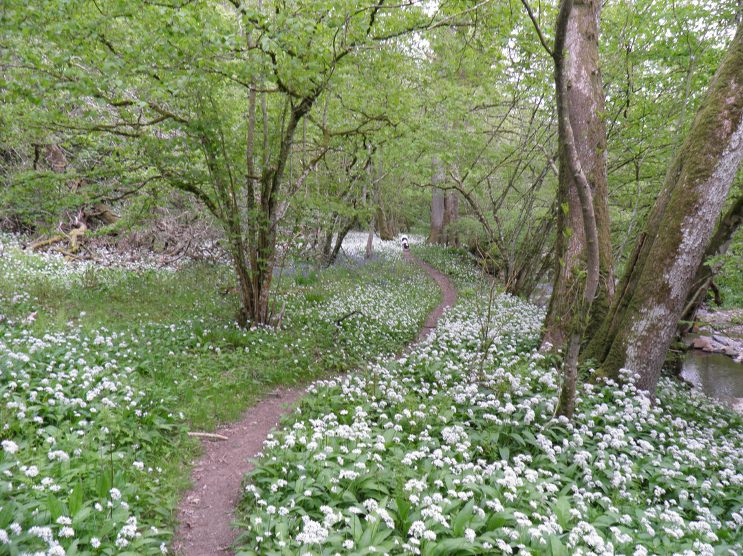 Deepdale Nature Reserve-Barnard Castle必去景点