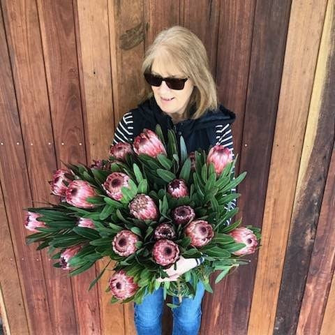 Wombat Forest Vineyard-戴尔斯福特必去景点