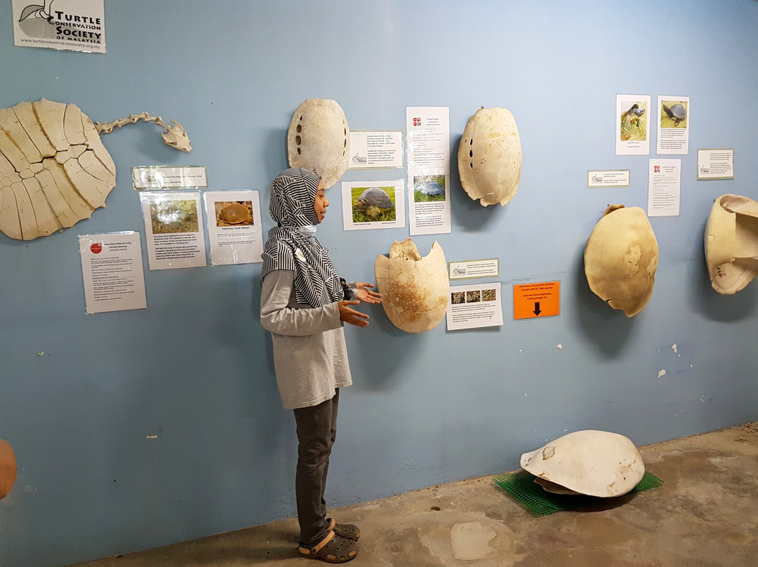 Tcs River Terrapin Conservation Centre-Kemaman District必去景点