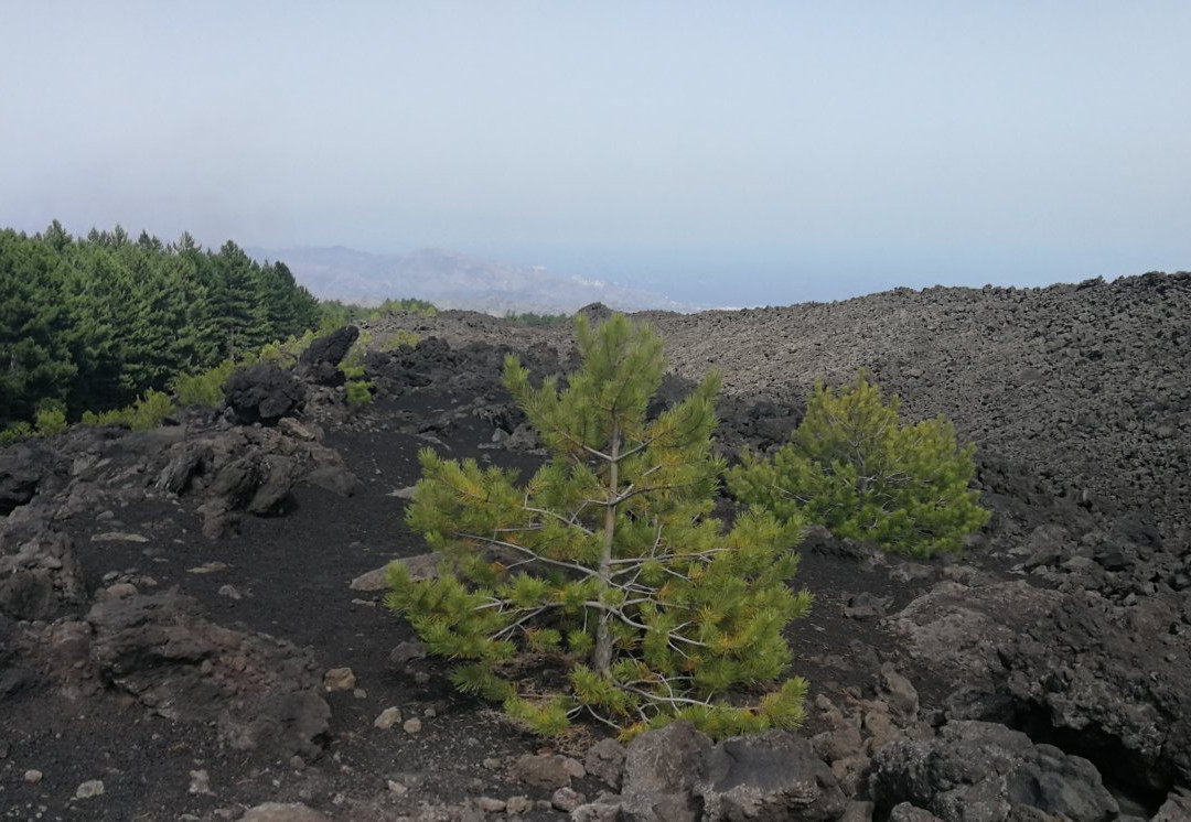 Etna Quad Adventure-林瓜格洛萨必去景点