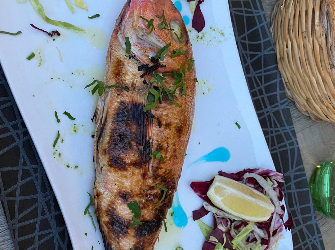 Tergu酒店住宿-B&B La Roccia Dell'Elefante