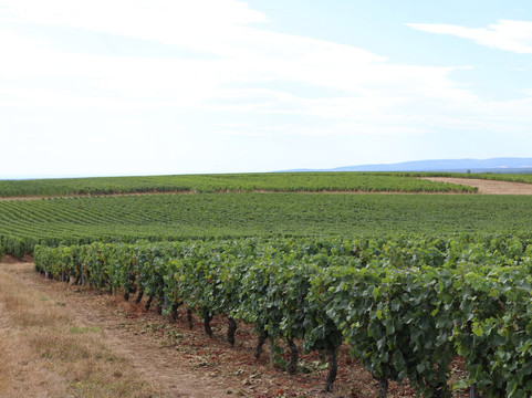 Domaine Francois Lumpp-Givry必去景点