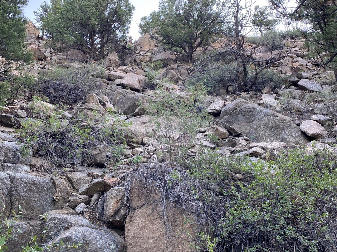 Buena Vista River Park-布埃纳维斯塔必去景点