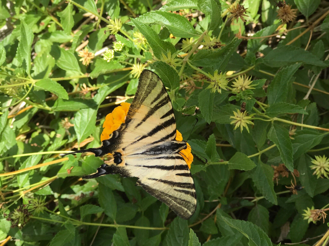 B&B Villa Marciante主图