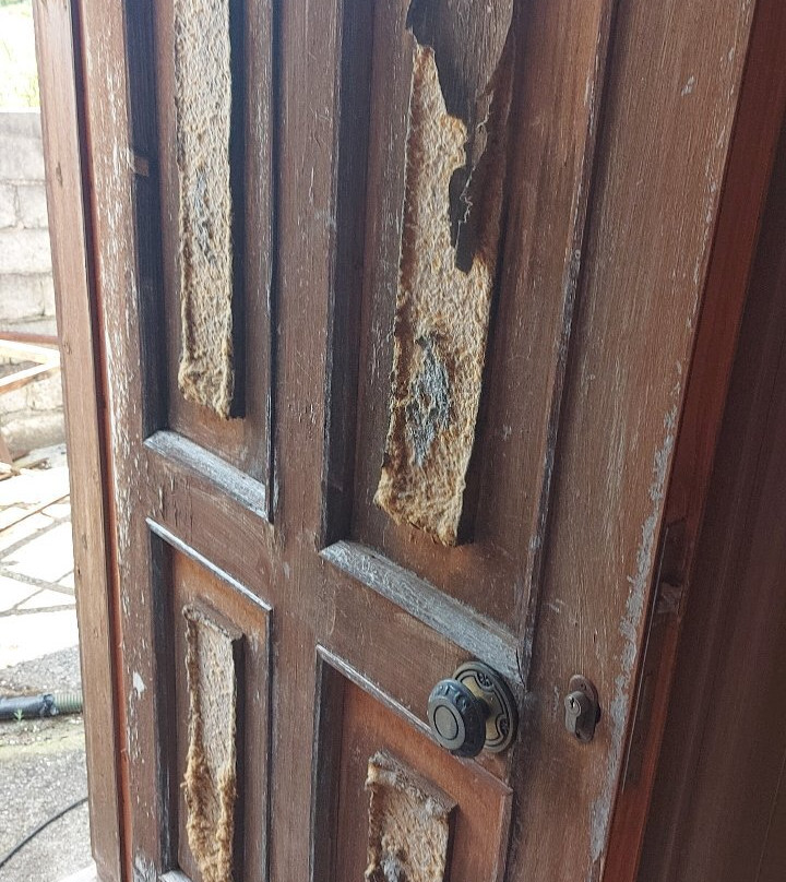 Denis Hotel and Bungalows主图