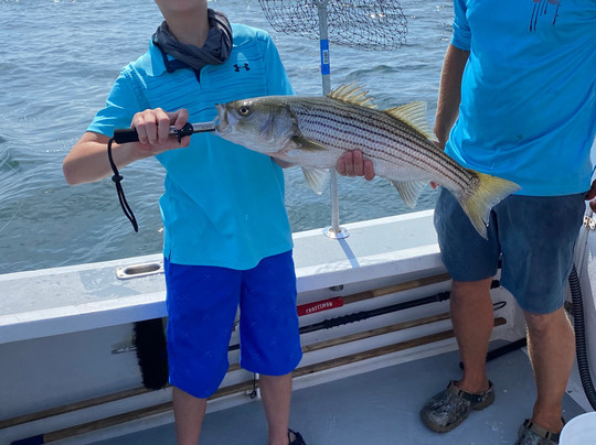 Mainely Blue Charters-南波特兰必去景点