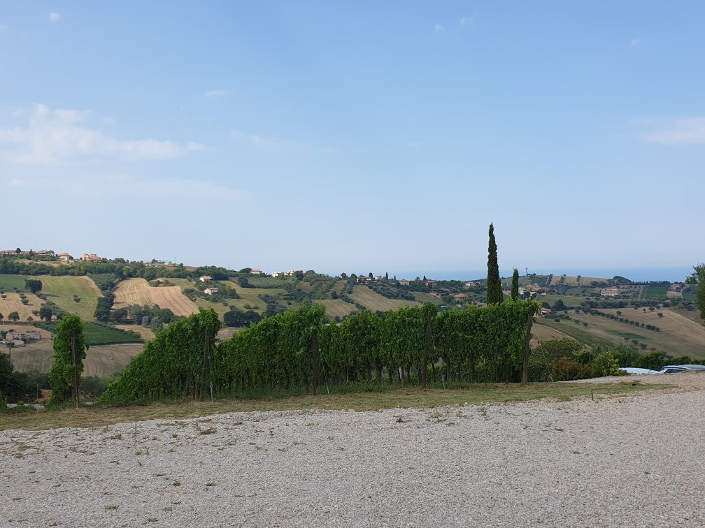 L'Orso e l'Ape B&B主图