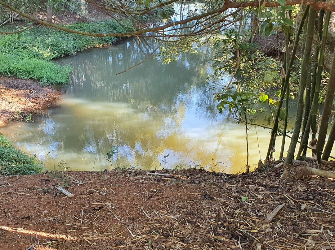 Yungaburra Platypus Viewing Platform-Yungaburra必去景点