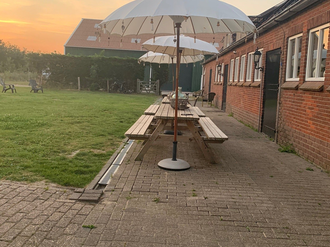 Hof van Renesse主图