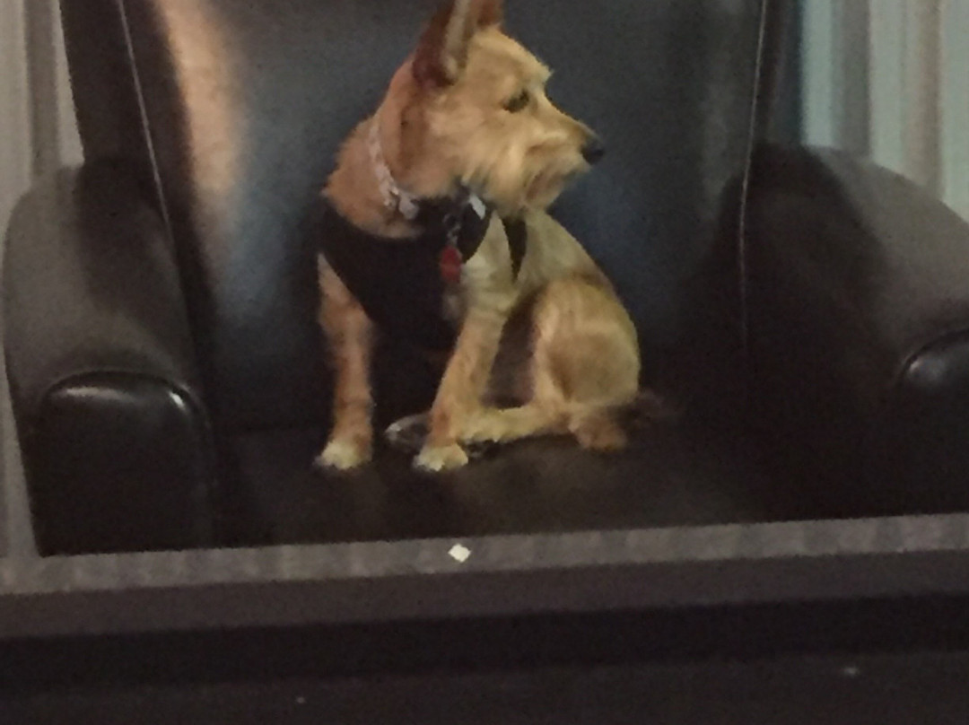 Kimpton Cardinal Hotel by IHG主图