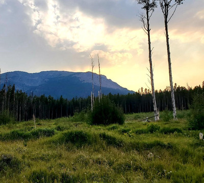 Lily Pad Lake-银座必去景点