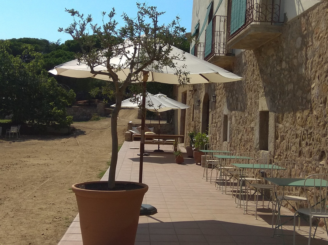 Hotel Mas Ribas主图