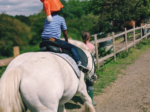 George Mead Memorial Stables-Welling必去景点