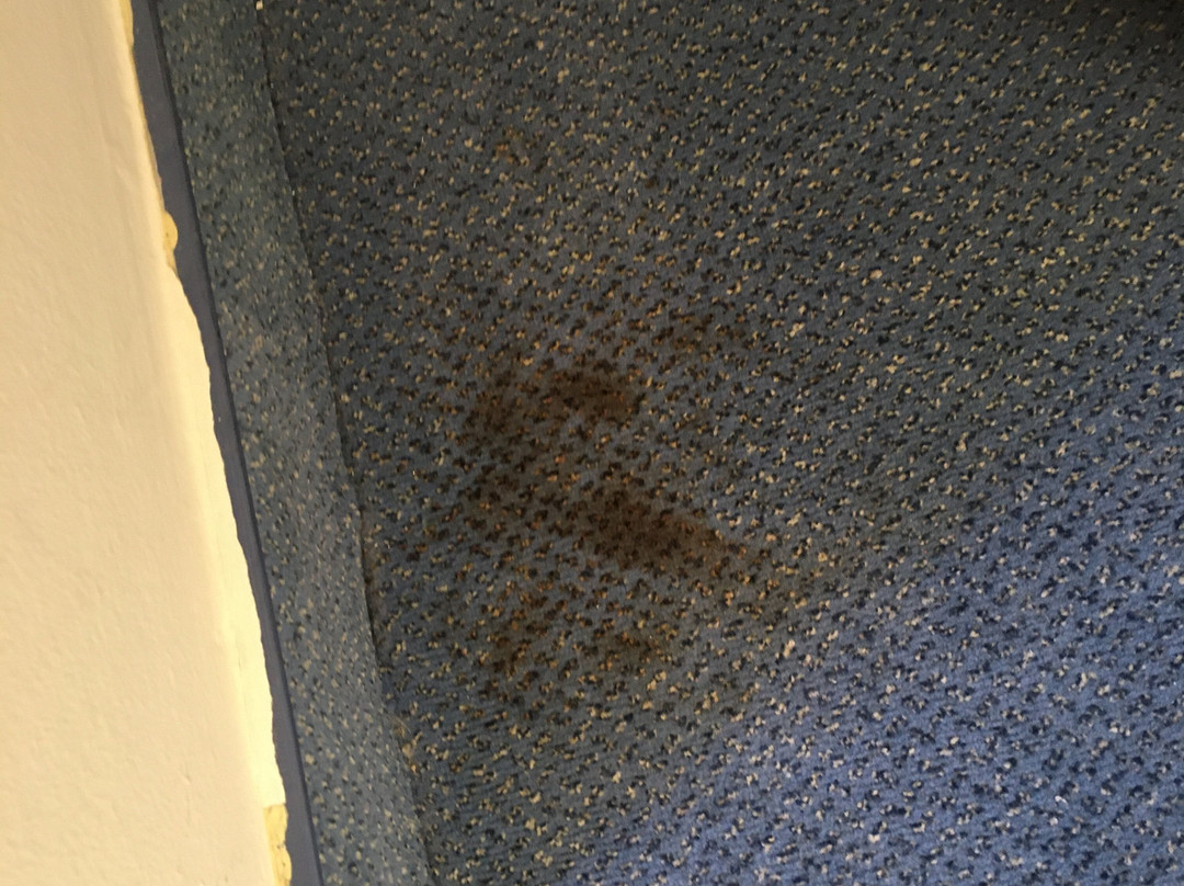 帕拉缇诺斯酒店主图