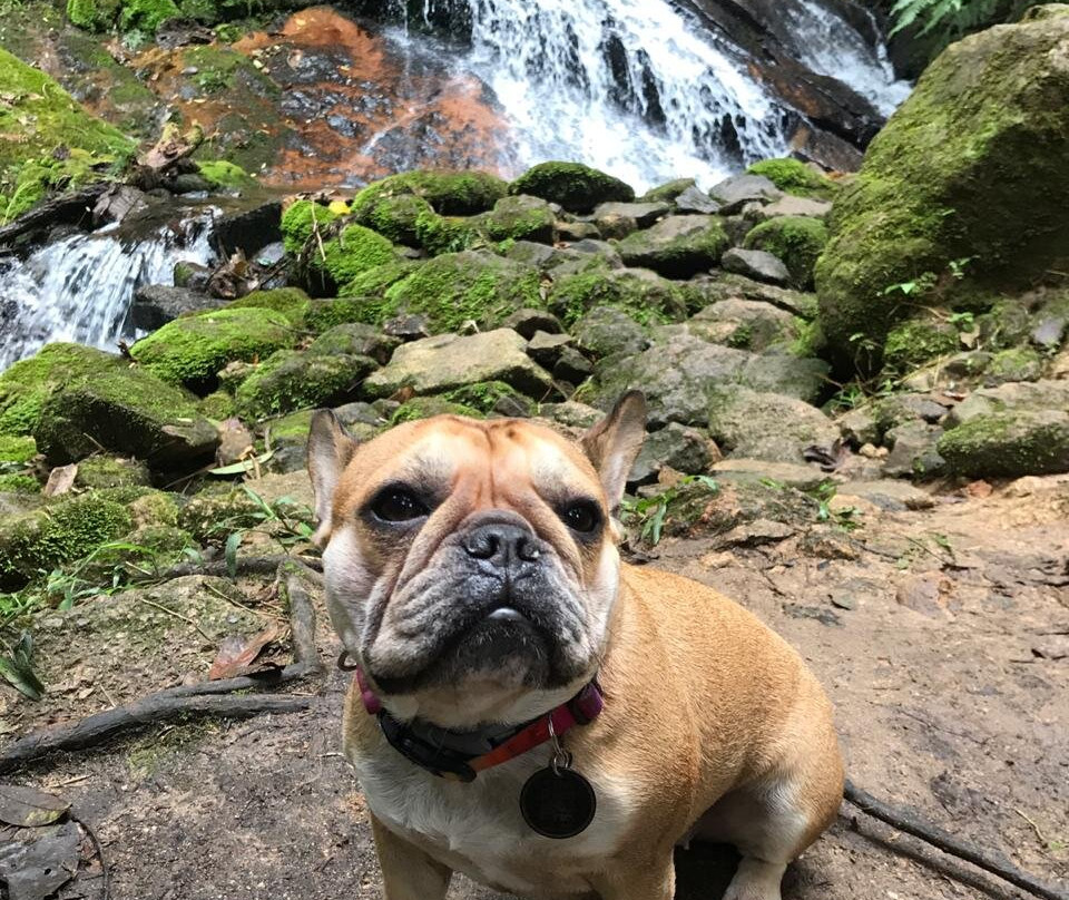 Pousada Pegada da Onca主图