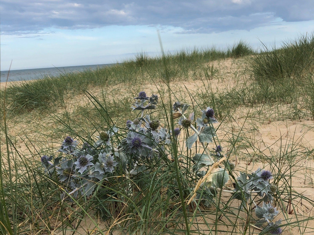 Winterton Coastwatch景点图片