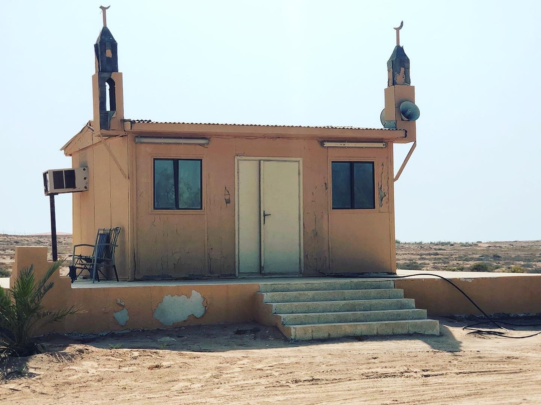 Shuweihat Island-Ruwais必去景点