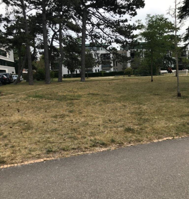 Warnemunde Kur Park-瓦勒慕必去景点