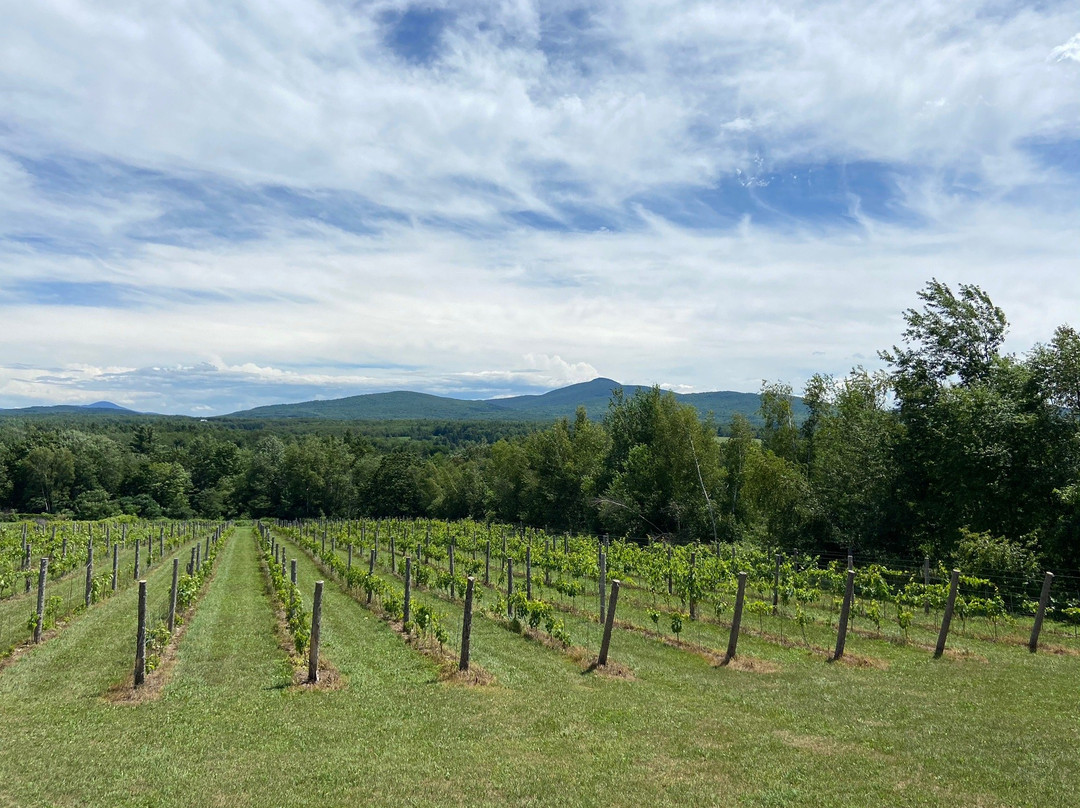 Val Caudalies-Dunham必去景点