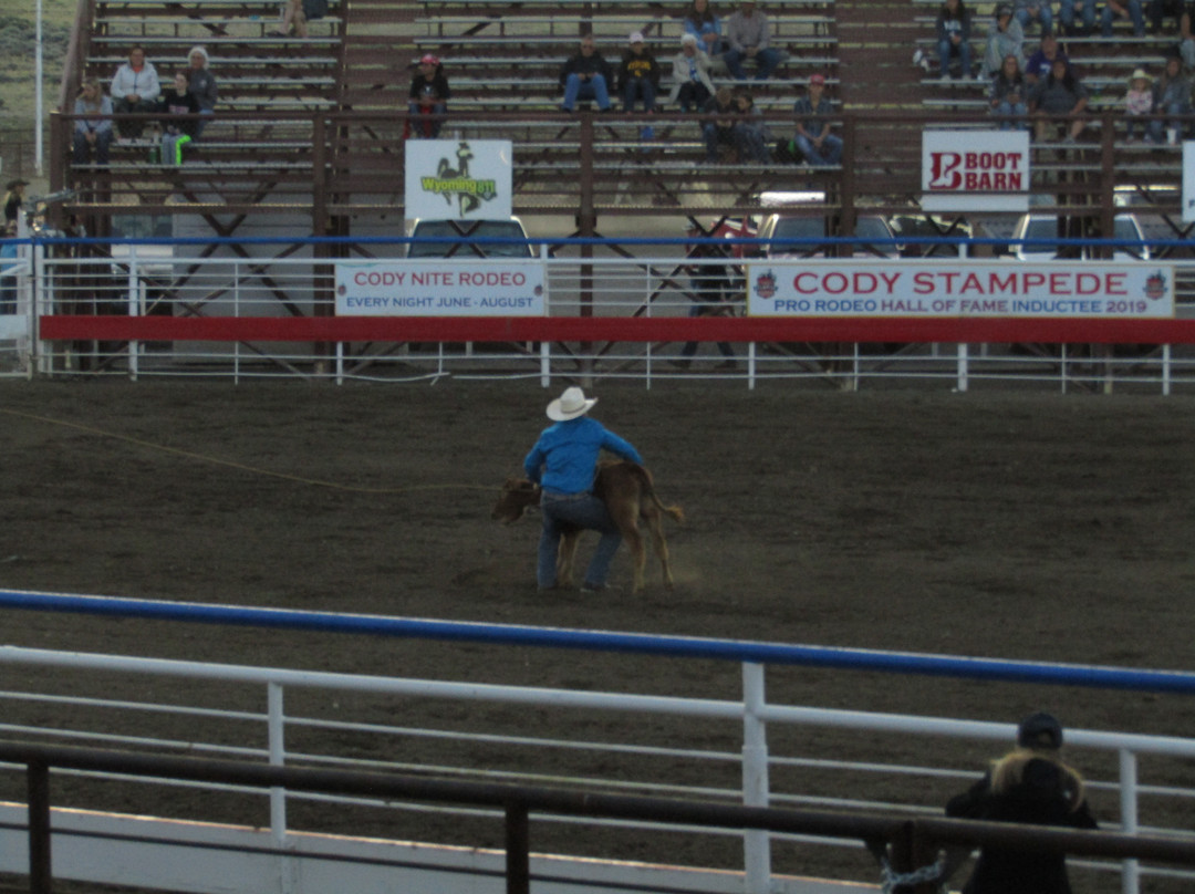 Cody Night Rodeo景点图片