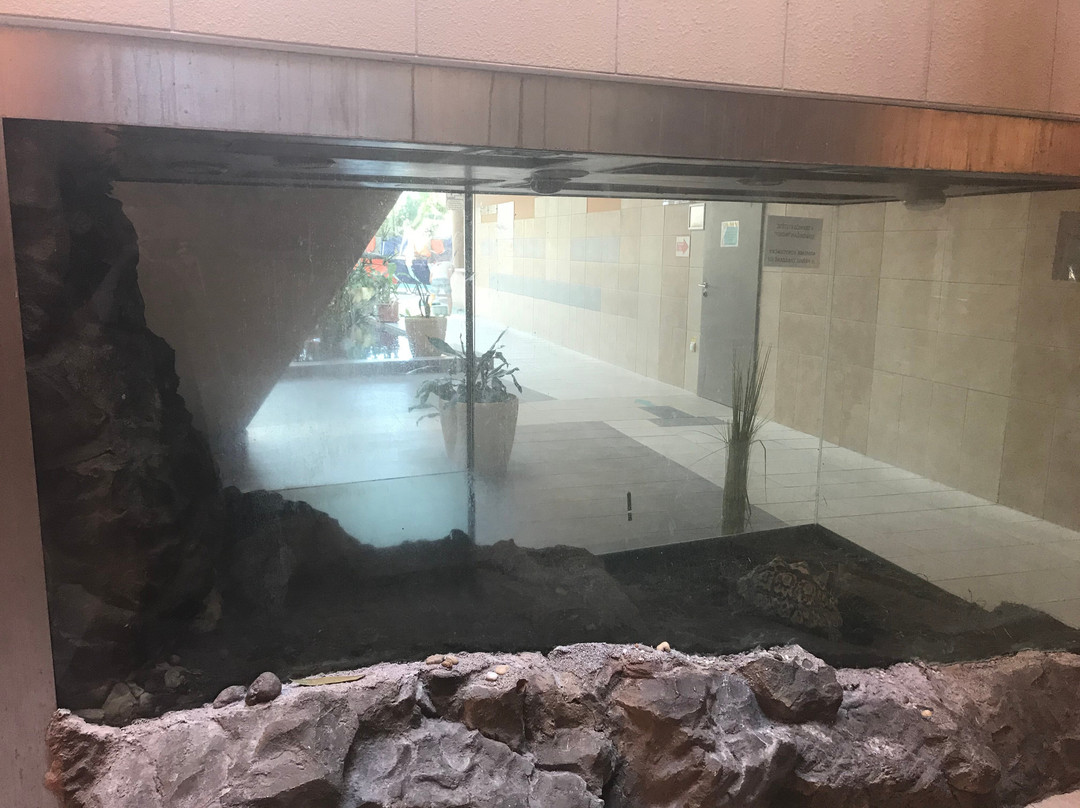 Aquasziget Esztergom Experience Bath景点图片
