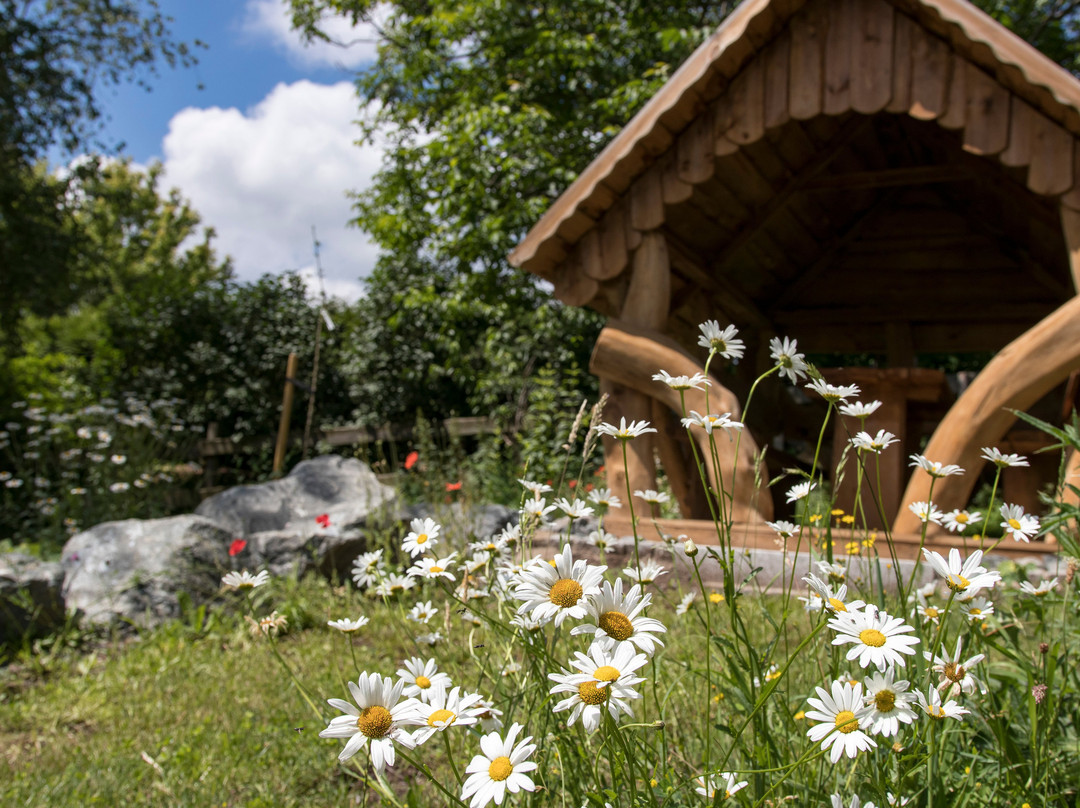 Landhotel Kraeuterberg’l Kreischa主图