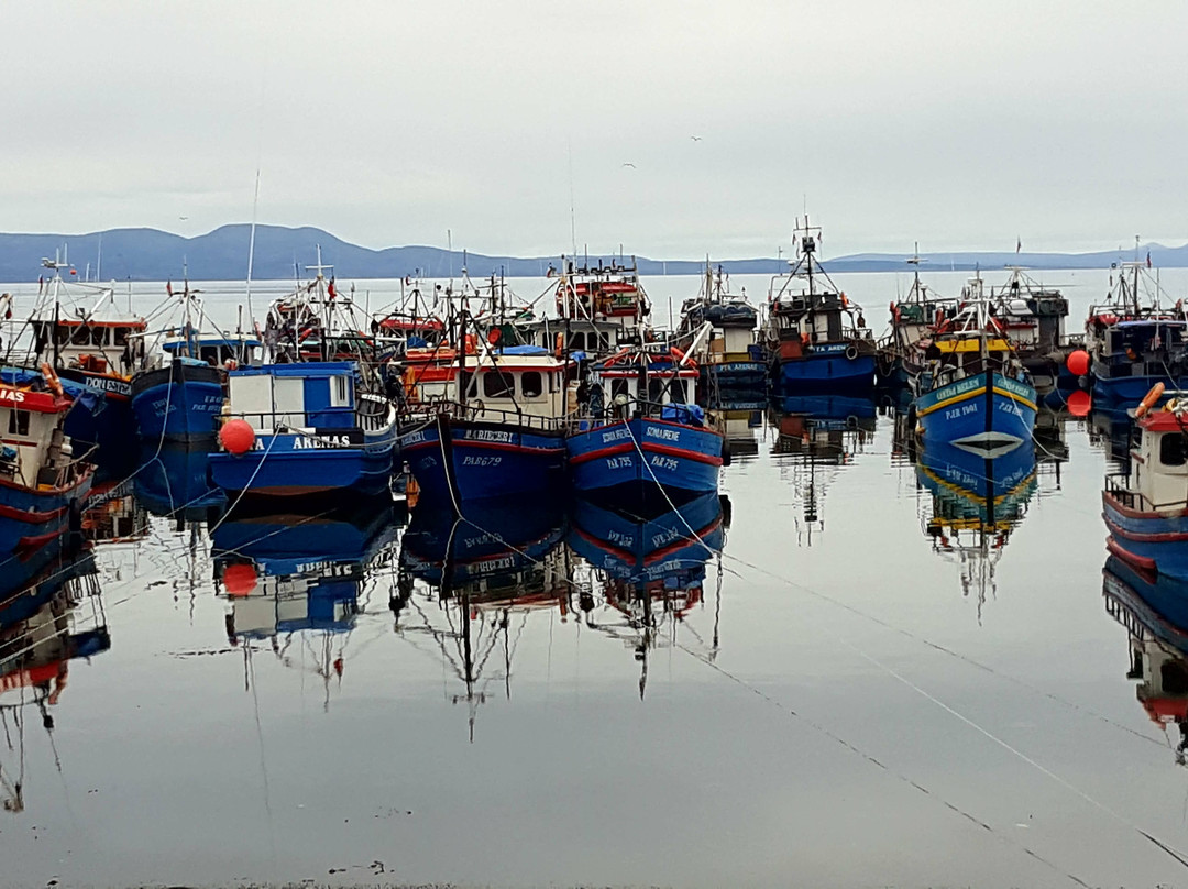 Ruta 9-蓬塔阿雷纳斯必去景点