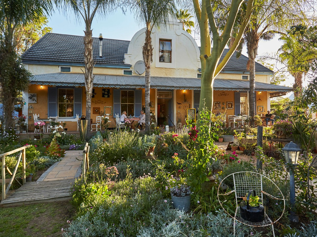 Cederberg酒店住宿-Yellow Aloe Guest House