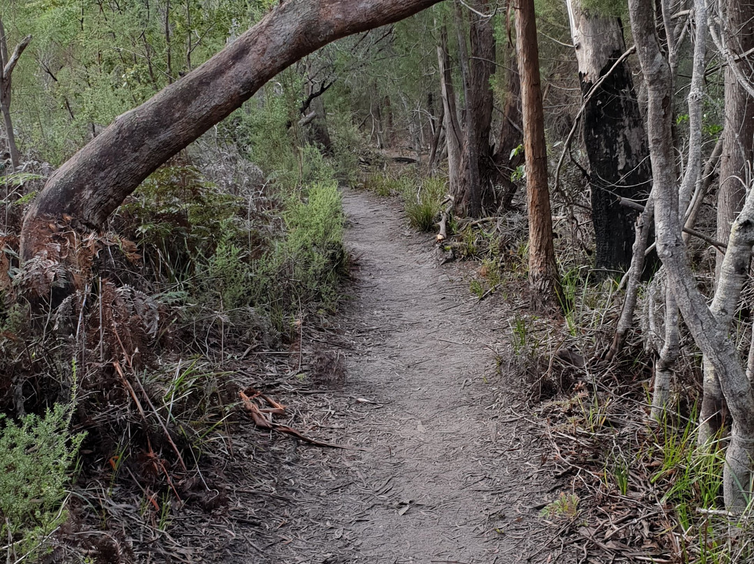 Freycinet Aqua Taxi-菲欣纳国家公园必去景点