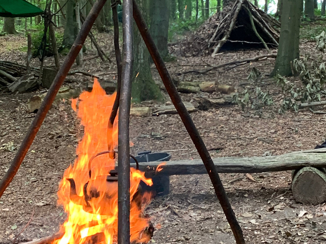 Bushcraft with David Willis景点图片